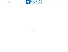 Tablet Screenshot of enziq.com